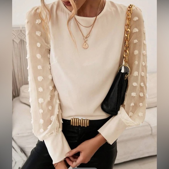 Swiss dot sheer sleeve work blouse - Picture 1 of 16